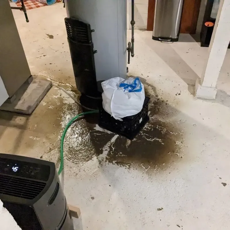 Sewage Backup Cleanup Service in Wade, MS